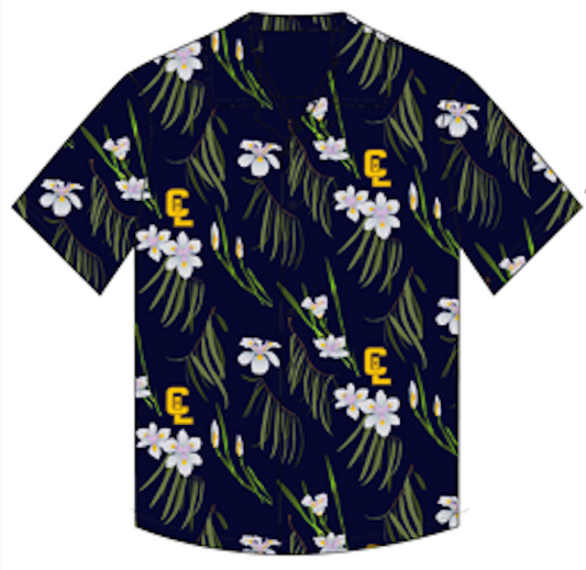Hawaiian Shrit
